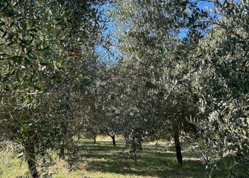 Giardino - Villa Via Bozzolo
 
3, Brugnato - foto 6