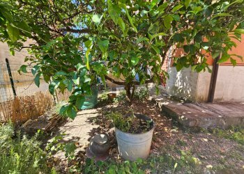 Giardino - Quadrilocale Via XXV Aprile
 
5, Portovenere - foto 57