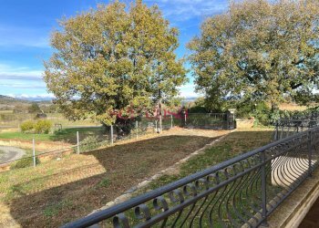 Foto 9 - Villa Campagnatico - foto 9