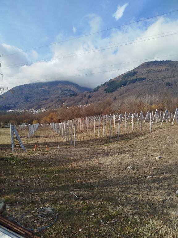 Terreno - Terreno agricolo via Spinedi, Berbenno di Valtellina - foto 2