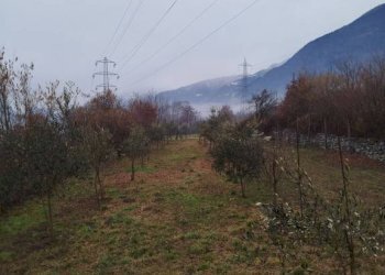 Terreno - Terreno agricolo via Spinedi, Berbenno di Valtellina - foto 7