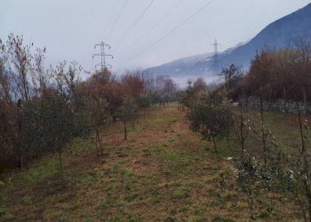 Terreno - Terreno agricolo via Spinedi, Berbenno di Valtellina - foto 8