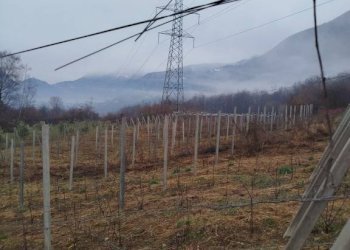 Terreno - Terreno agricolo via Spinedi, Berbenno di Valtellina - foto 12