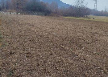 Terreno - Terreno agricolo via Spinedi, Berbenno di Valtellina - foto 13