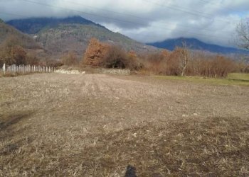Terreno - Terreno agricolo via Spinedi, Berbenno di Valtellina - foto 17
