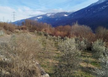 Terreno - Terreno agricolo via Spinedi, Berbenno di Valtellina - foto 19