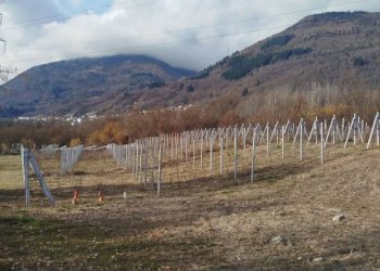 Terreno - Terreno agricolo via Spinedi, Berbenno di Valtellina - foto 3