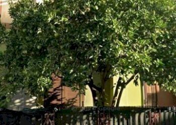 Facciata - Bilocale via Giacomo della Marca, Roma - foto 3