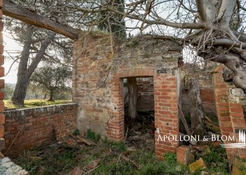 Rustico Città della Pieve - foto 20