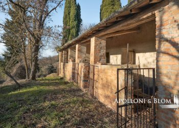 Rustico Città della Pieve - foto 25