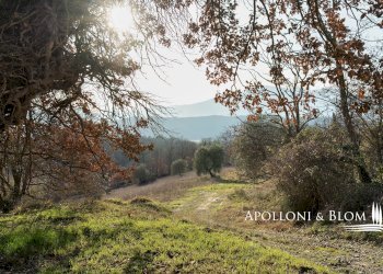 Rustico Città della Pieve - foto 26