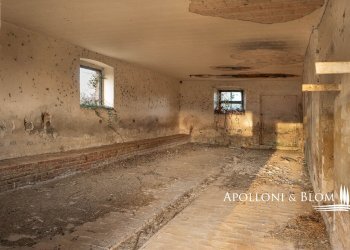 Rustico Città della Pieve - foto 7