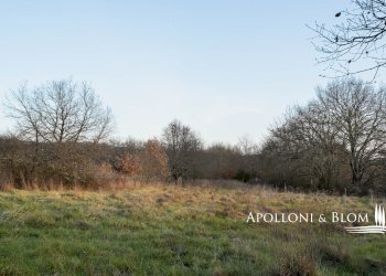 Rustico Città della Pieve - foto 11