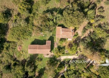 Rustico Via della Madonna del Sodo, 13, Umbertide - foto 7