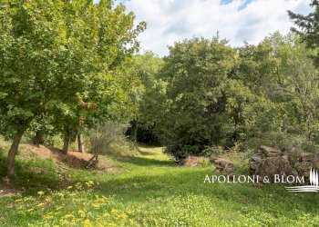 Rustico Via della Madonna del Sodo, 13, Umbertide - foto 42