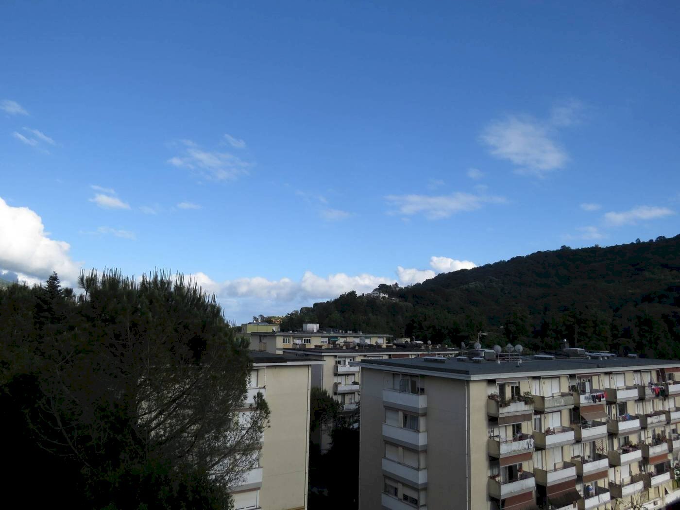 Bilocale Via Luigi Arpinati, 16, Rapallo - foto 1