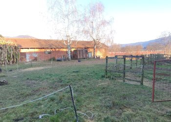 Capannone Via Carpenetti, 20, Gambasca - foto 2