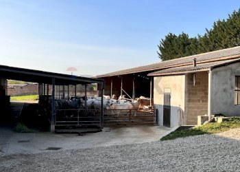 Casa indipendente via casale, 32 
 Montemagno, Montemagno - foto 19