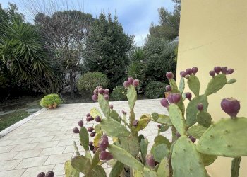 Villa Bifamiliare Livorno - foto 19