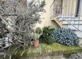 Villa Bifamiliare Livorno - foto 30