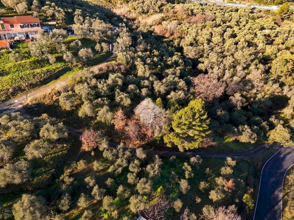 Terreno agricolo Strada provinciale, Costarainera - foto 2