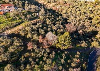Terreno agricolo Strada provinciale, Costarainera - foto 2