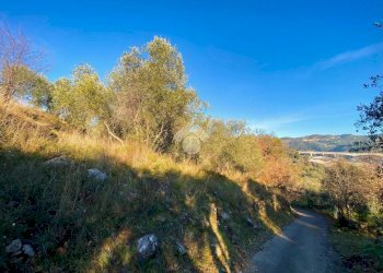 Terreno agricolo Strada provinciale, Costarainera - foto 5
