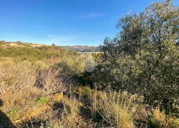 Terreno agricolo Strada provinciale, Costarainera - foto 7