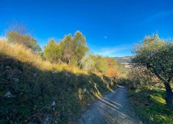 Terreno agricolo Strada provinciale, Costarainera - foto 9