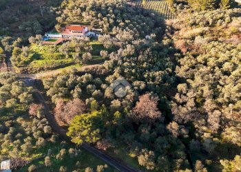 Terreno agricolo Strada provinciale, Costarainera - foto 11