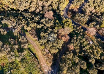 Terreno agricolo Strada provinciale, Costarainera - foto 12