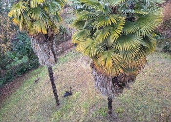 Appartamento Via Aubert, Pino Torinese - foto 23