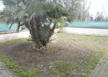 Appartamento Via imperiali, Comacchio - foto 6