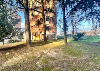 Quadrilocale Via Luigi Chiarelli, Milano (zona Gallaratese) - foto 3