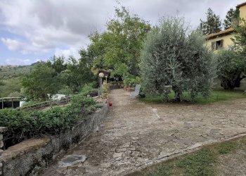 Foto 23 - Villa Montespertoli - foto 23