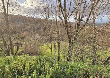 Foto 23 - Casa indipendente Contrada Aia Del Gallo, Sturno - foto 23