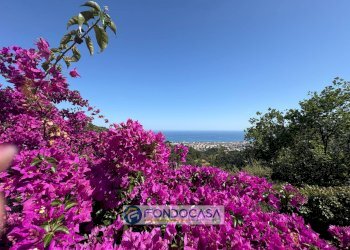 Foto 31 - Villa Via Alla Strà, Savona - foto 31