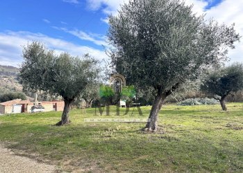 Foto 4 - Casa indipendente contrada Bora Ragnola, Monteprandone - foto 4