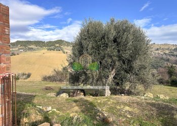 Foto 9 - Casa indipendente contrada Bora Ragnola, Monteprandone - foto 9