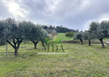 Foto 20 - Casa indipendente contrada Bora Ragnola, Monteprandone - foto 20