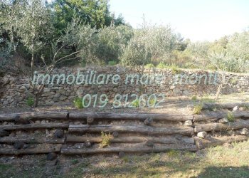 Foto 24 - Villa via laiolo, Spotorno - photo 23