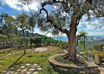 Foto 3 - Villa Zona Cascine, Imperia - foto 3