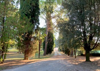 Foto 17 - Casa indipendente Valle Marina, Monte Vidon Corrado - foto 17