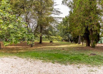 Foto 20 - Casa indipendente Valle Marina, Monte Vidon Corrado - foto 20