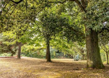 Foto 21 - Casa indipendente Valle Marina, Monte Vidon Corrado - foto 21