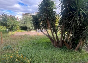 Foto 14 - Appartamento VIA TAVANI
 
4, Somma Vesuviana - foto 14