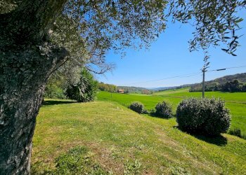 Foto 15 - Rustico Montecosaro - foto 15