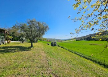 Foto 18 - Rustico Montecosaro - foto 18