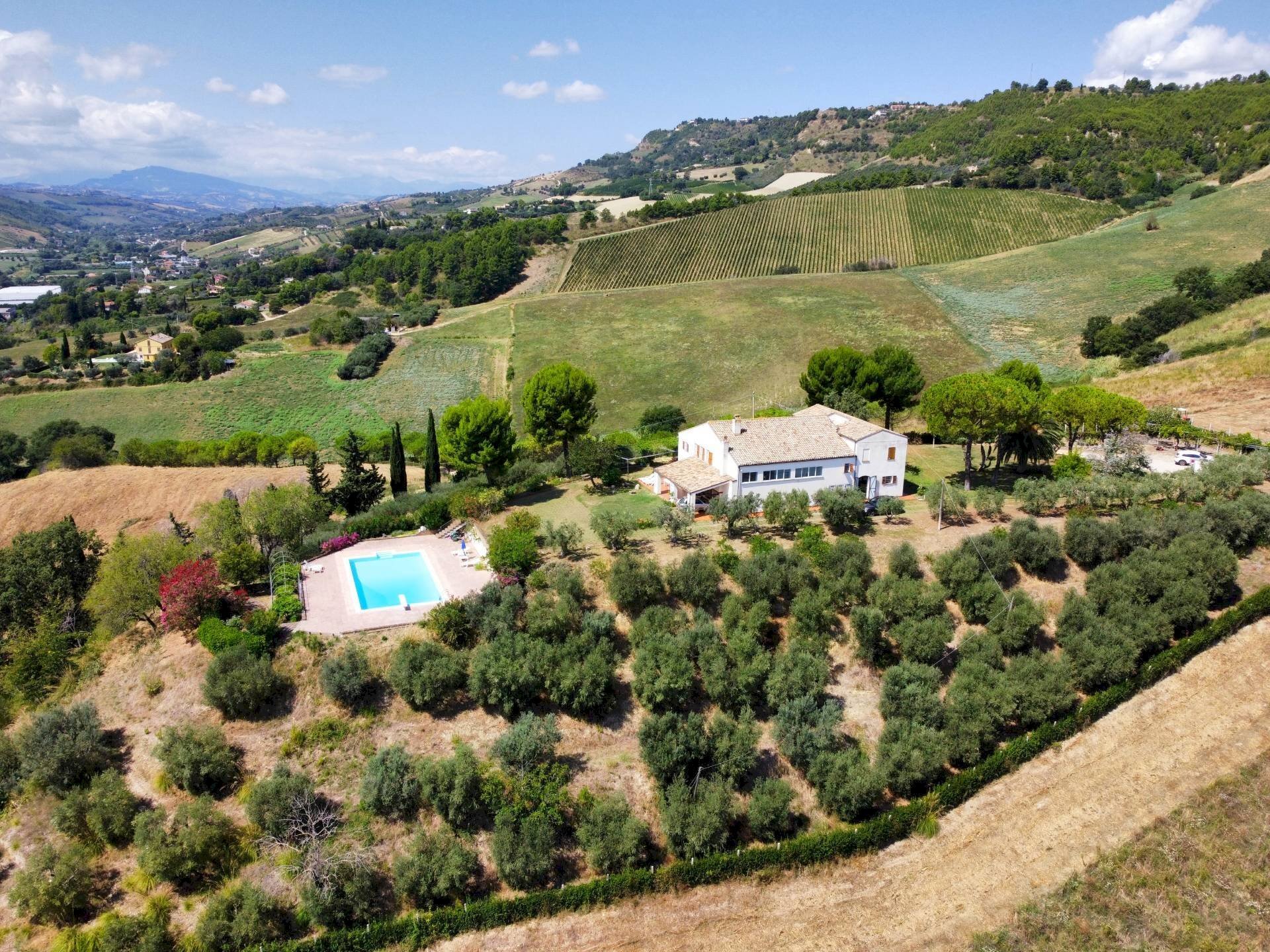 Foto 2 - Rustic C.da San Salvatore
8, Ripatransone - photo 2