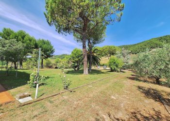 Foto 18 - Rustico C.da San Salvatore
 
8, Ripatransone - foto 18